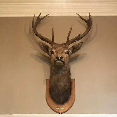 Stonefield Castle Hotel 'A Bespoke Hotel'-2