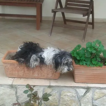 B&B Rolu-2