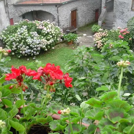 B&B Alle Ortensie Blu-3