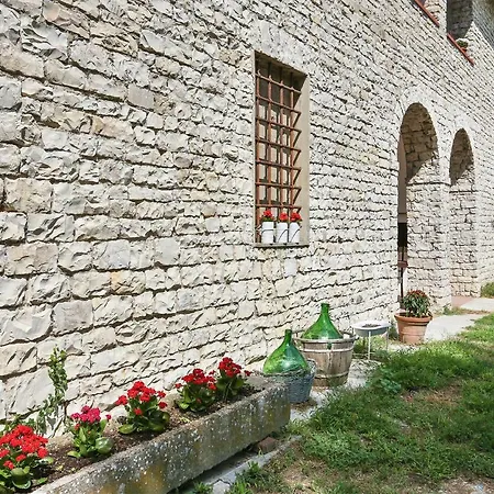 Mondo Pazzo-3