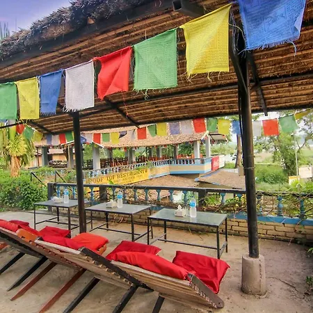 Chitwan Tiger Camp-3