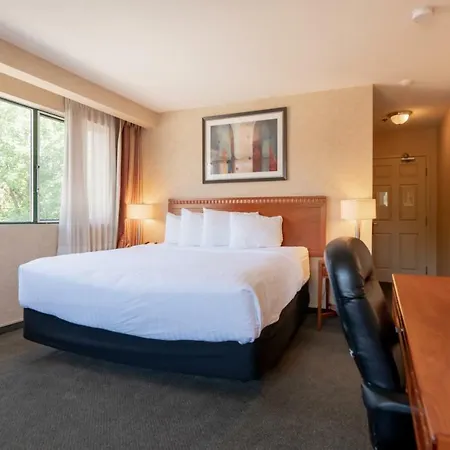 Hotel Kelowna & Conference Centre-3