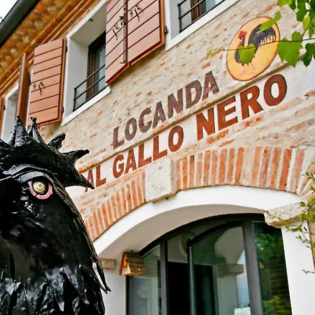 Al Gallo Nero-3