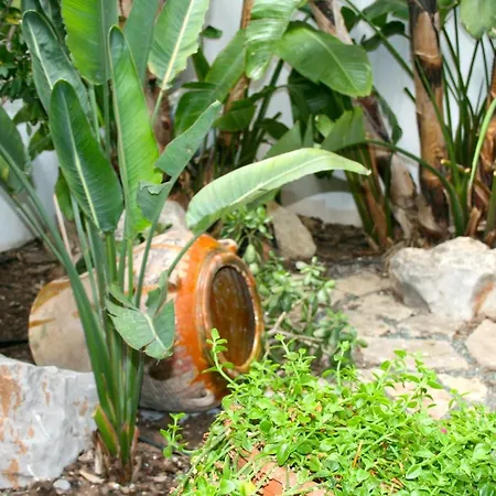 El Pinche de Oro-2
