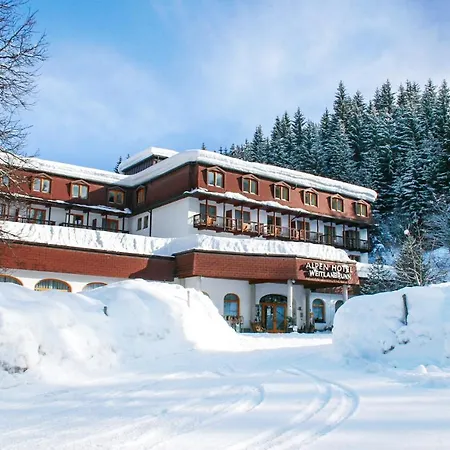 Alpenhotel Weitlanbrunn-3