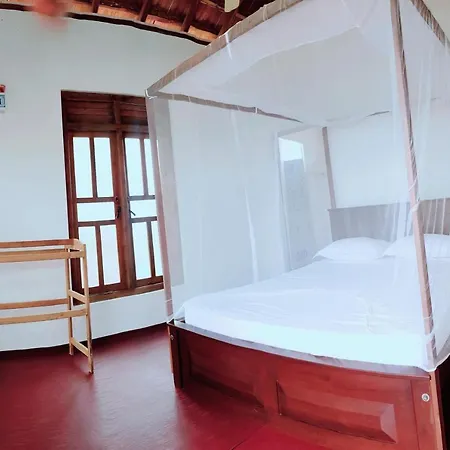 Exotic Beach Hotel-3