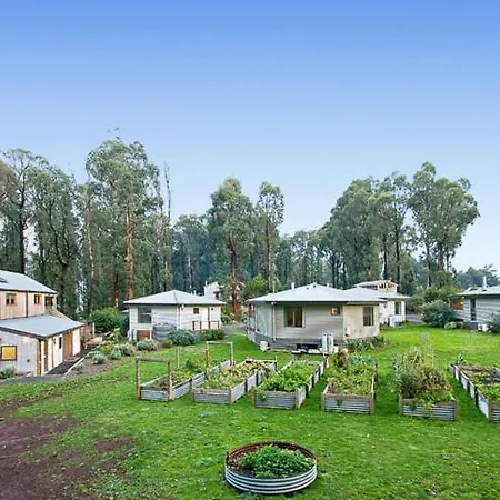 Karma Kinglake-2