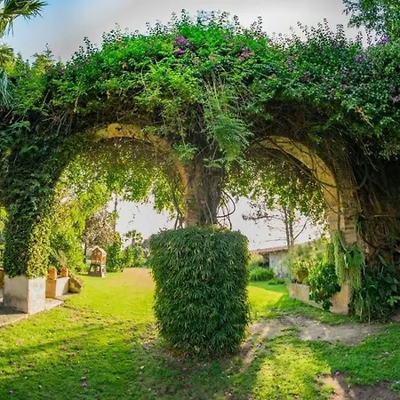 Finca San Javier-2