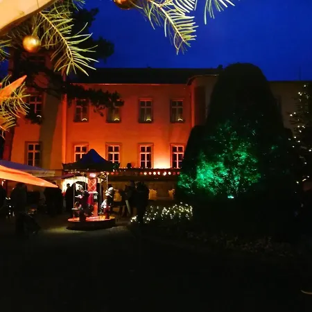 Parkhotel Bad Schandau - Direkt An Der Elbe-2