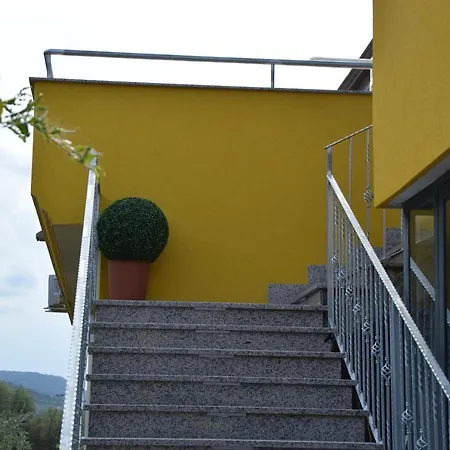 Stella d'Oro-3