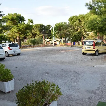 Stella d'Oro-2