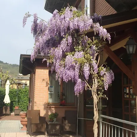 Hotel Ferro Di Cavallo-3