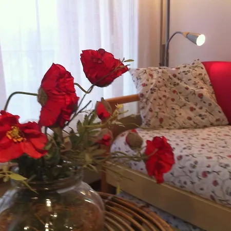 Residence Geranio-3