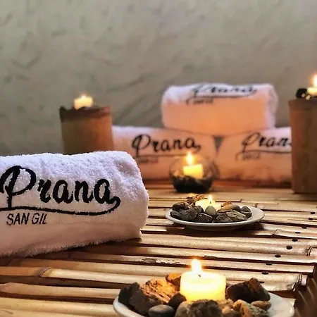 Prana-3