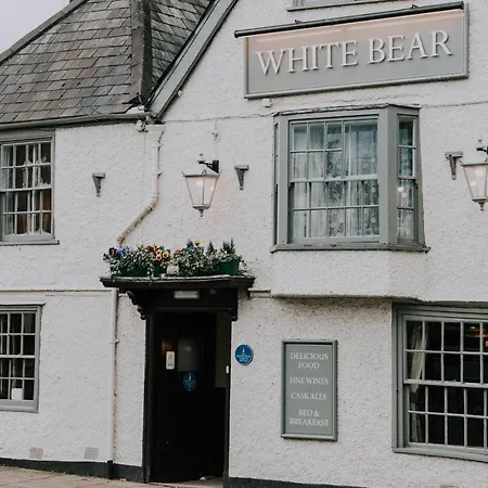The White Bear-2