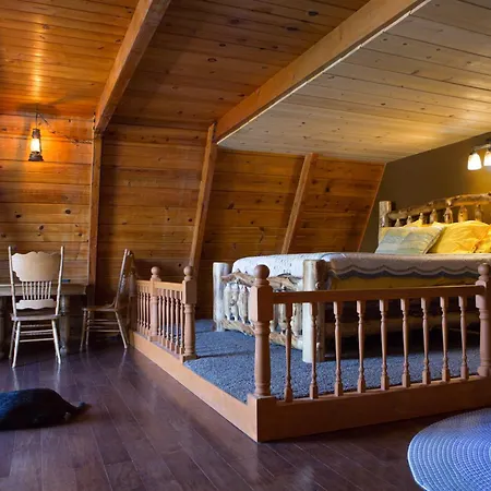Hicksville Pines Chalets & Motel-2