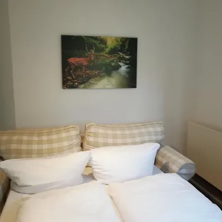 Waldhotel Forsthaus Remstecken-3