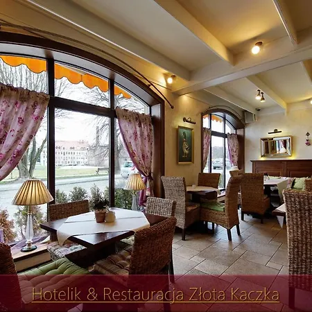 Hotelik & Restauracja Zlota Kaczka-3
