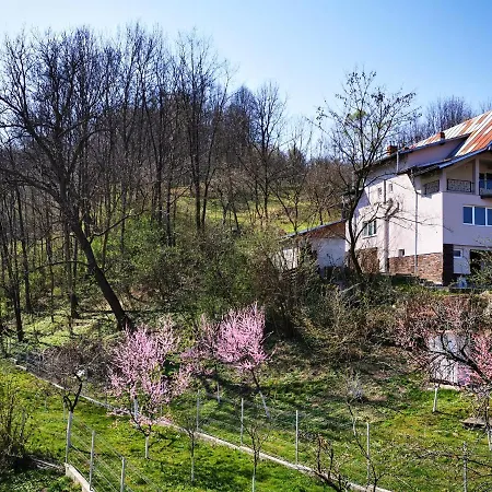 Pension Sf Nicolae-2