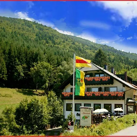 Waldgasthof Altersbach-3