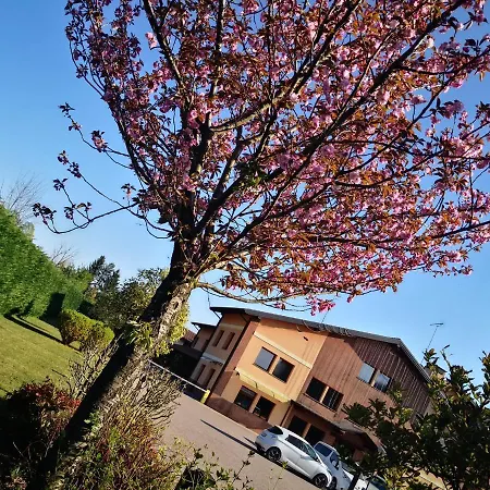 Orange Motel-2