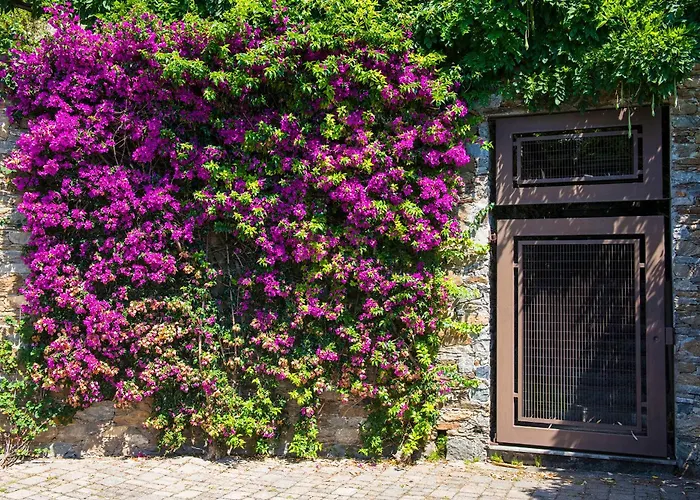 B&B Renalù