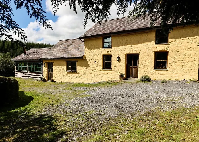 Bryngolau