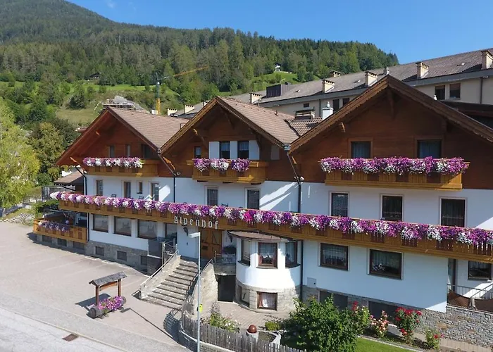 Pension Alpenhof B&B