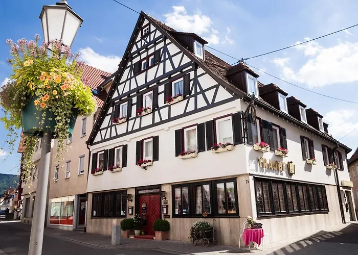 Hotel - Restaurant Traube Neuffen