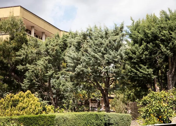 L' Albero Di Giada