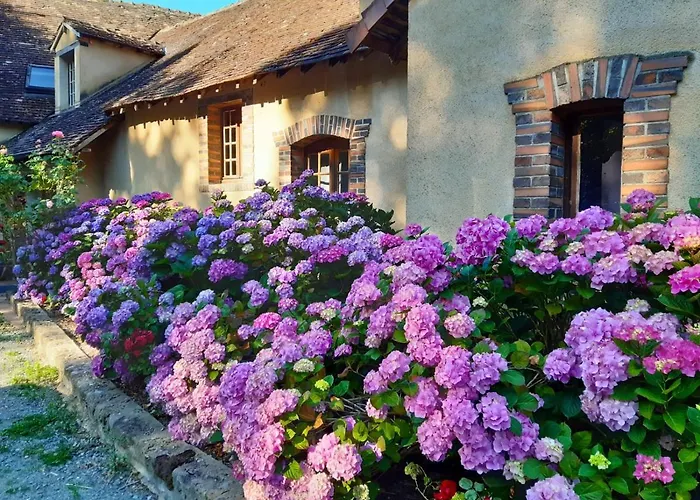 Chambres d'hôtes Domaine De La Jonquière, Bouloire