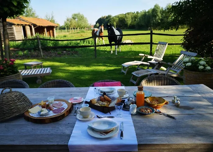 Casa Leone Near Bruges With Jacuzzi & Parking