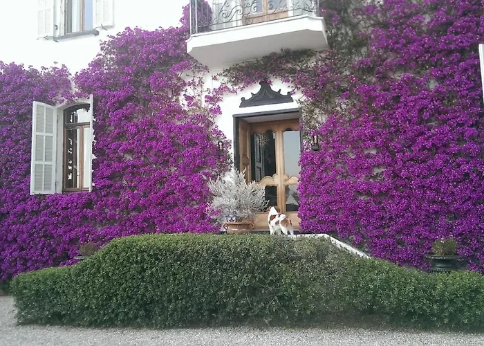 Resort Villa San Luca CITR8031