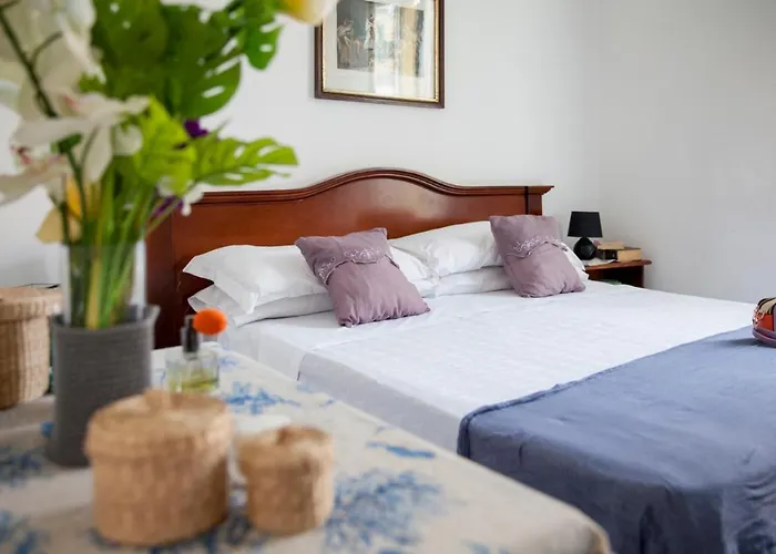 Hotel Mimosa