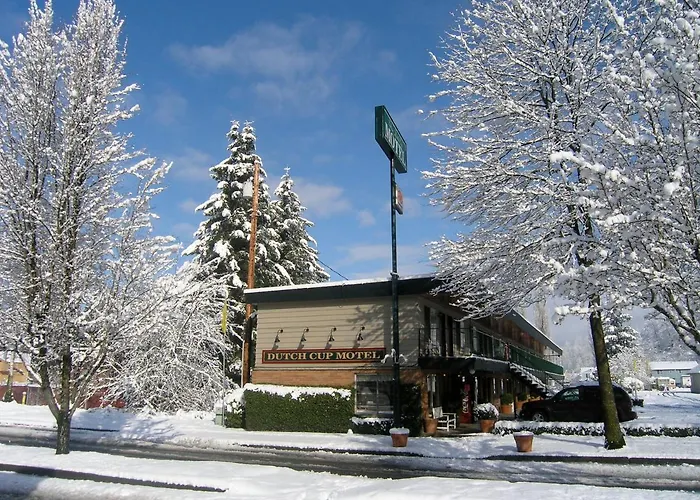 Dutch Cup Motel