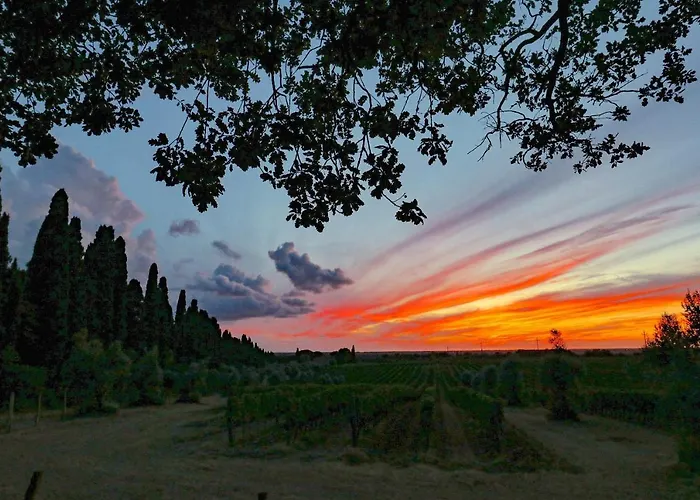Relais Felciaino B&B Bolgheri