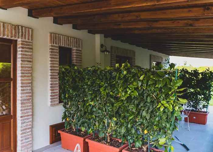 Il Limoneto Rooms Terme Vigliatore