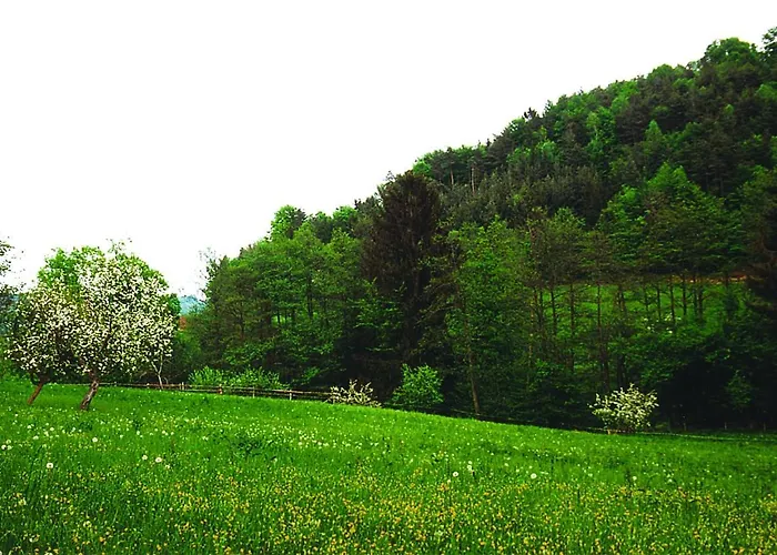 Landhaus Waldfrieden