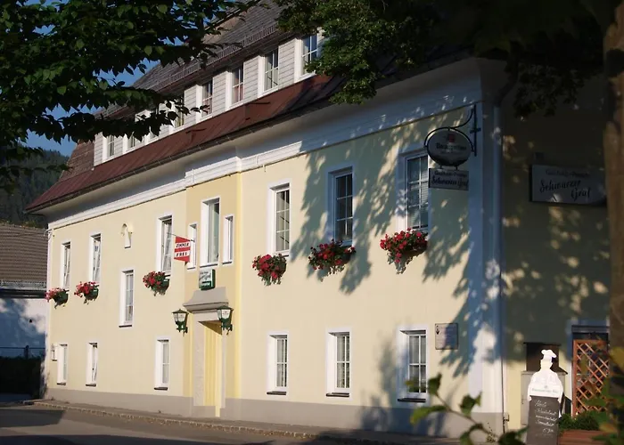 Gasthaus-Pension Schwarzer Graf