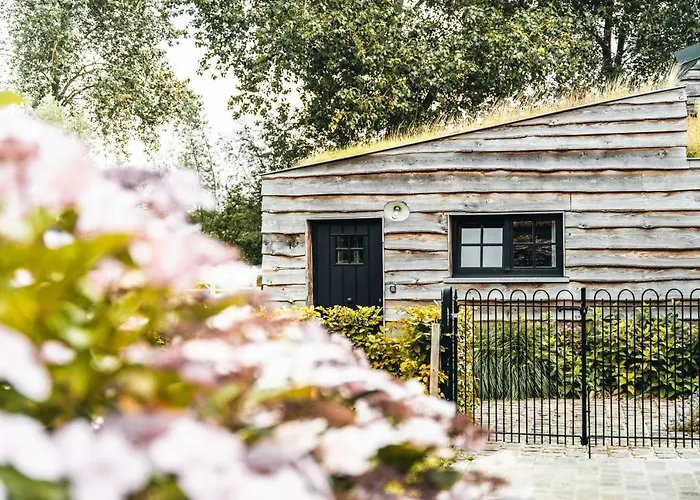 B&B Extra Verte