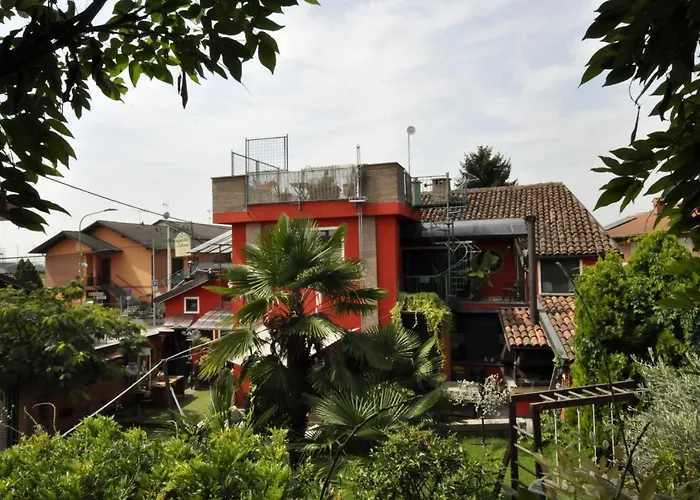 B&B Edera