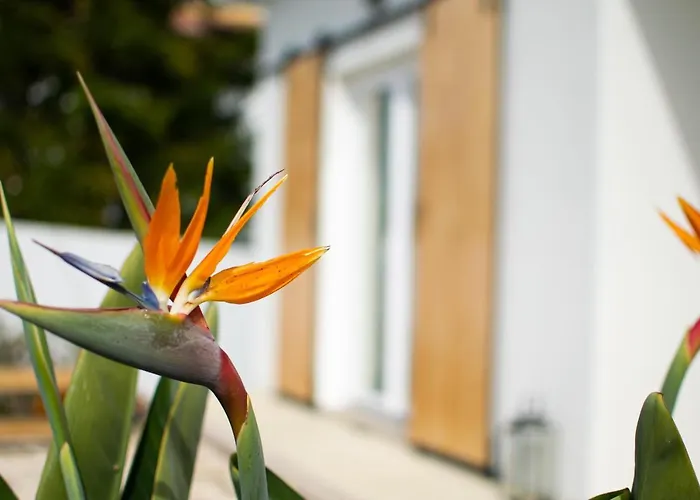 Casa-Simplicity Gelder Zetten Lda Gracieira