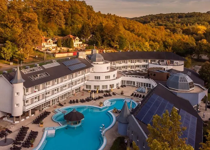 Ambient Hotel&Aroma Spa Sikonda
