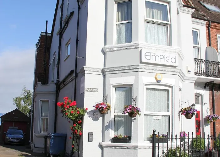 The Elmfield