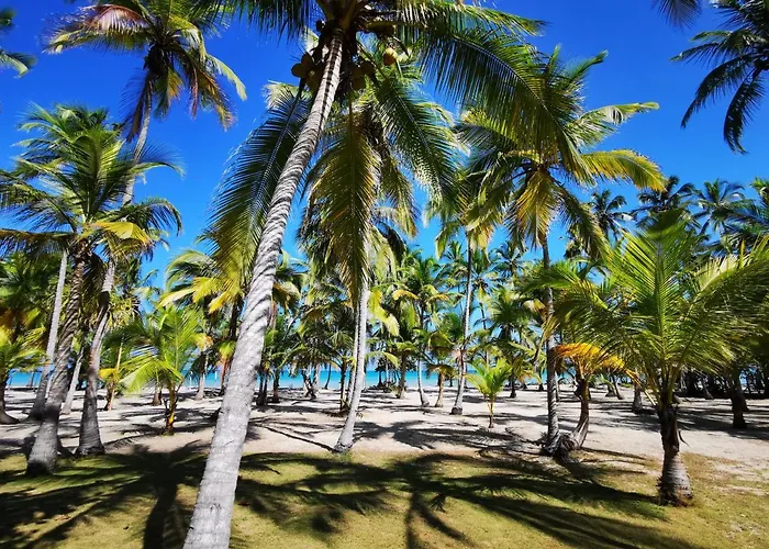 Hotel Playa Mandala