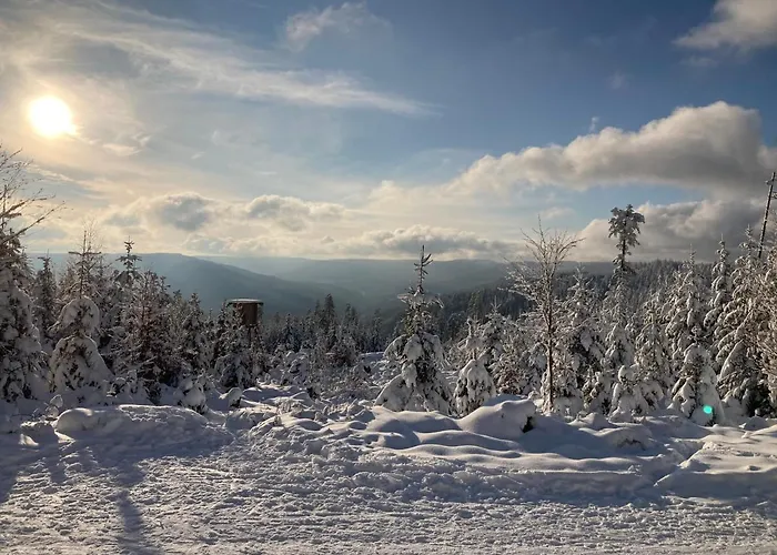 Schwarzwaldhotel Oberwiesenhof Seewald