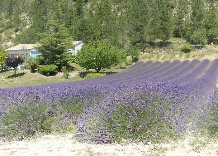 Domaine Du Murier Die