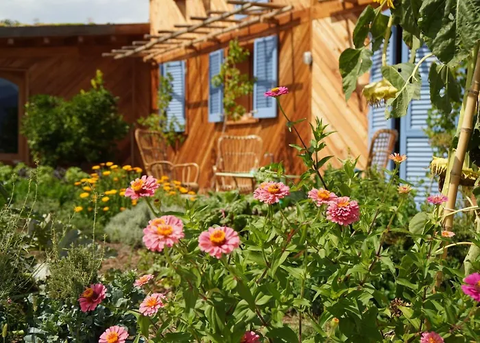 Casa Viva Bed and Breakfast Marciaga