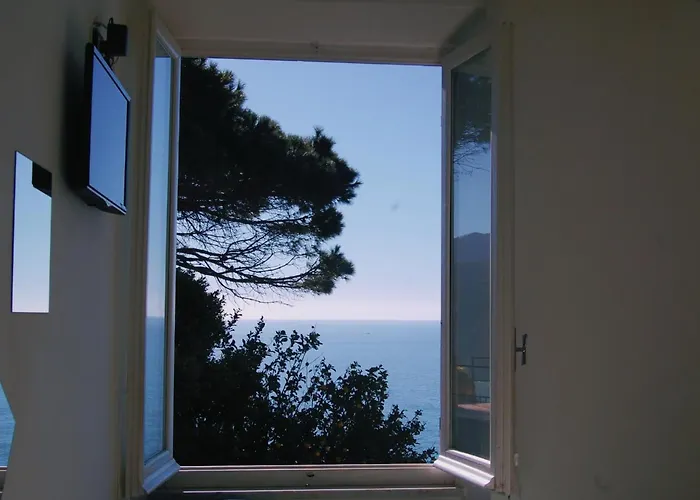 Corniglia Dreams