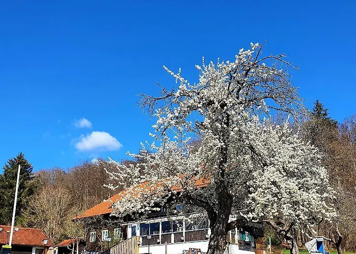 Schatzbergalm Pension